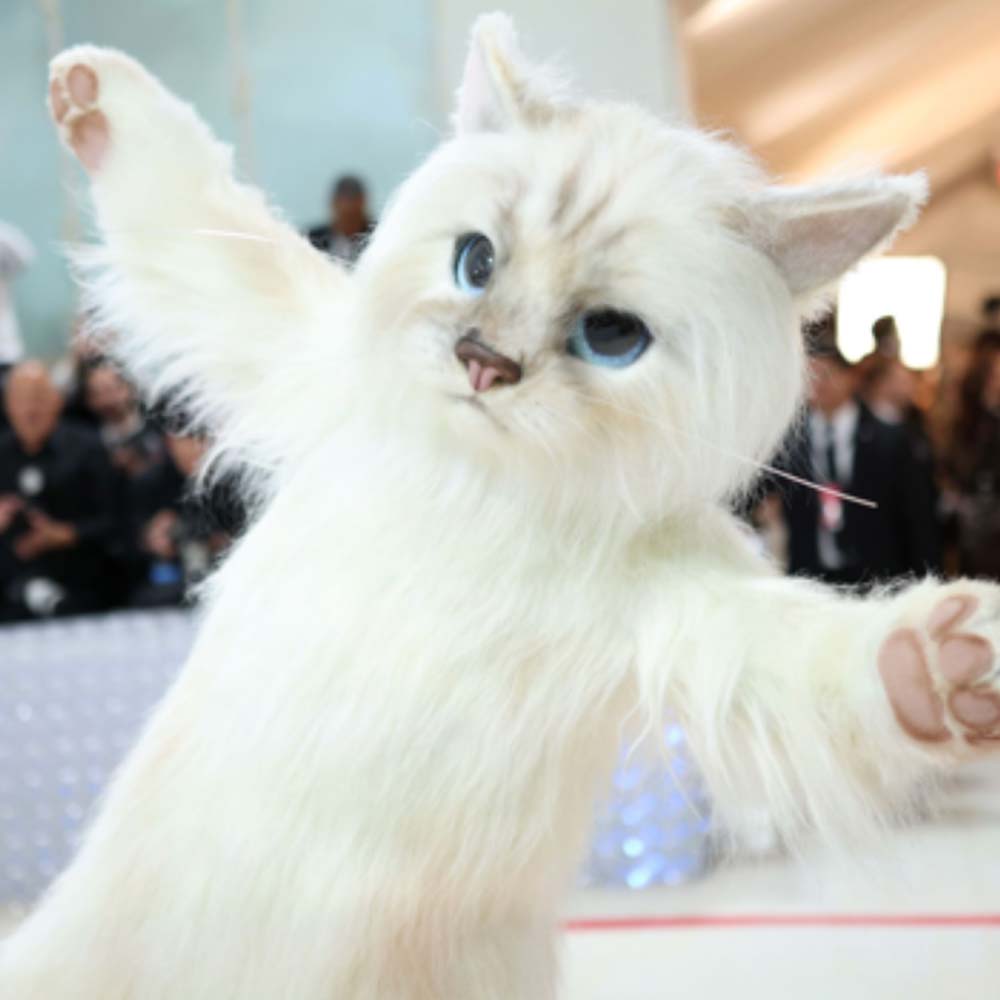 live-entertainment-costume-maker-met-gala-scps