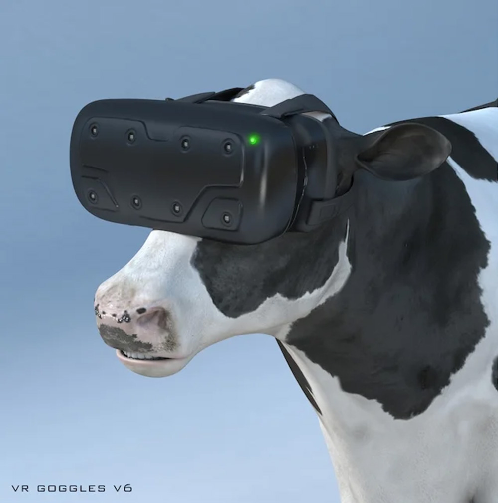 Chick-Fil-A Cowz