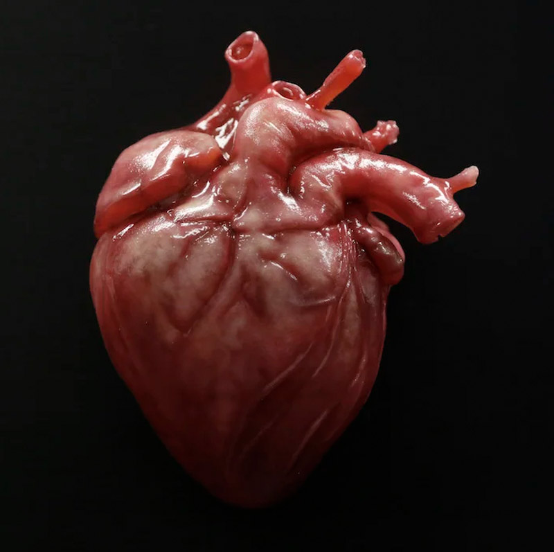 rent-a-beating-heart